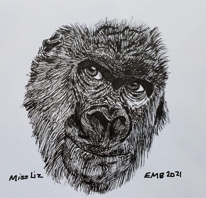 Drawing I Made For A Student