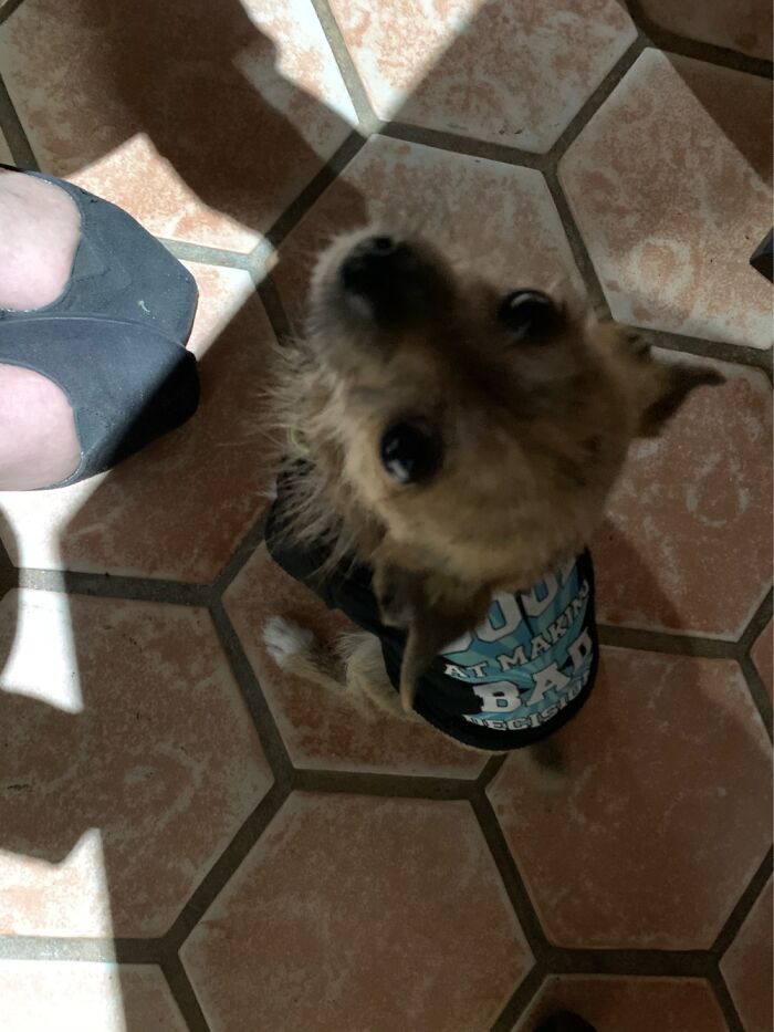 This Is Ollie, Named For Oliver Queen Of Course