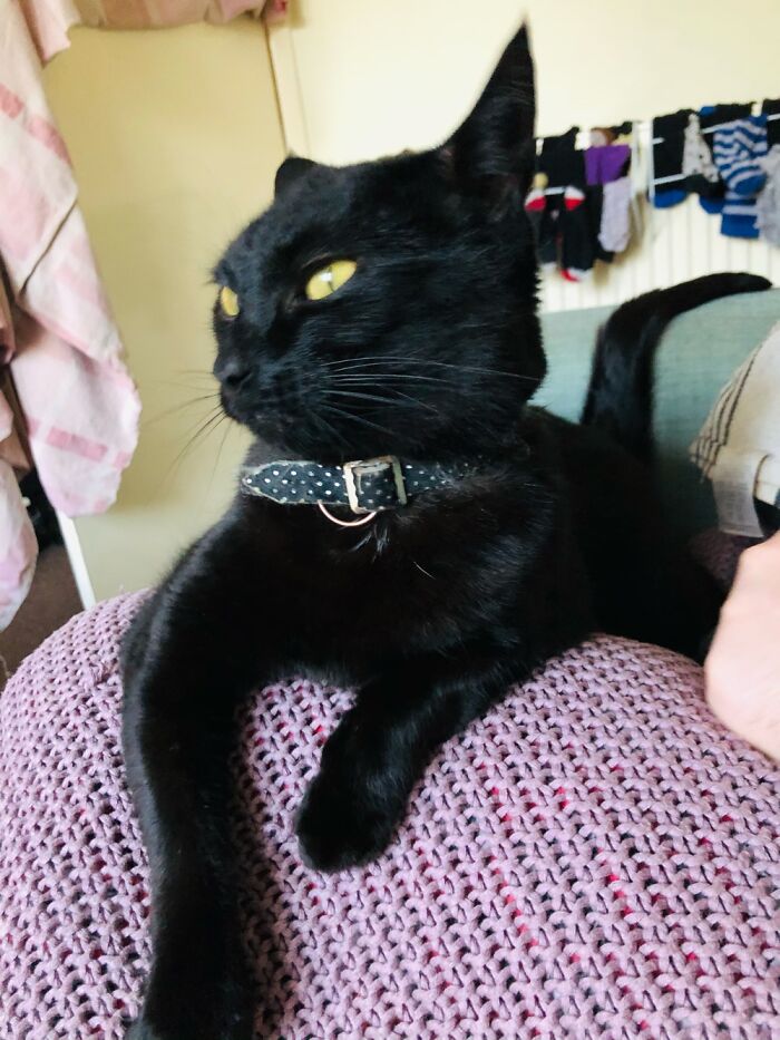 Salem. Sabrina The Teenage Witch.