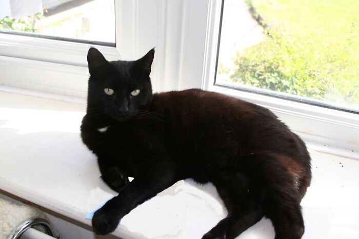 Hello. My Name Is Gaffor.