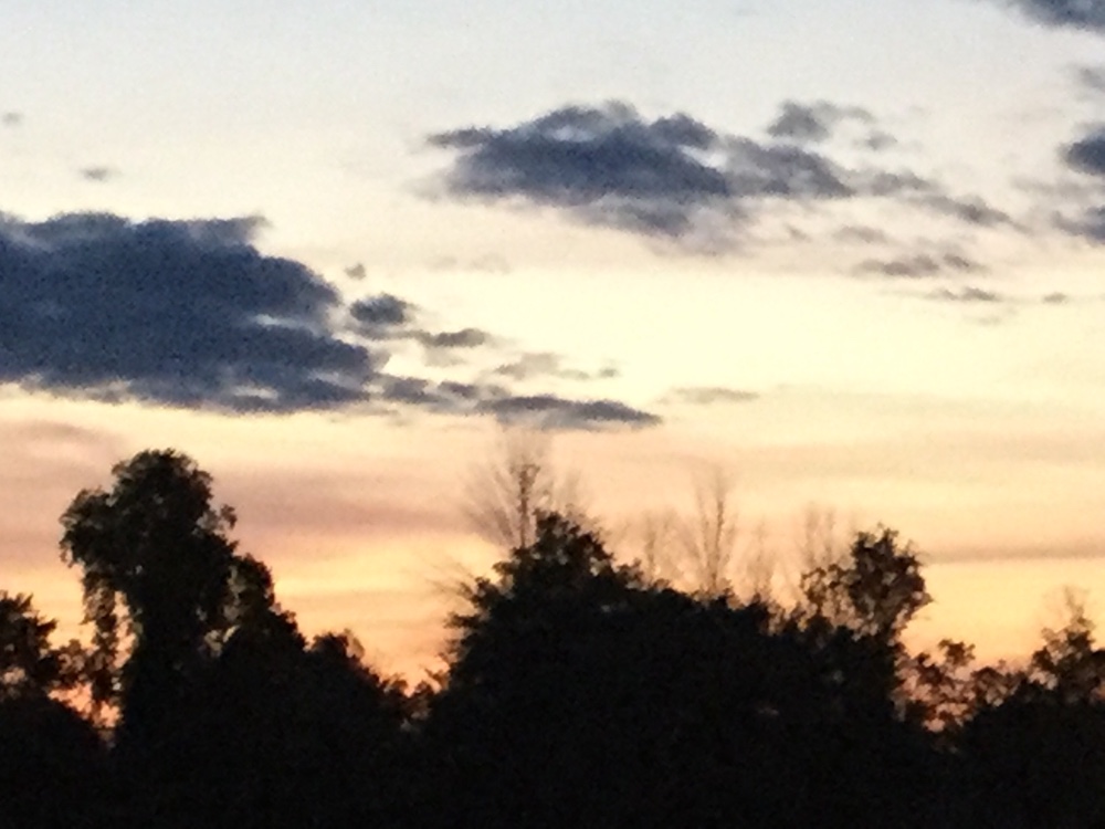 I Take Pictures Of Nature (47 Photos)