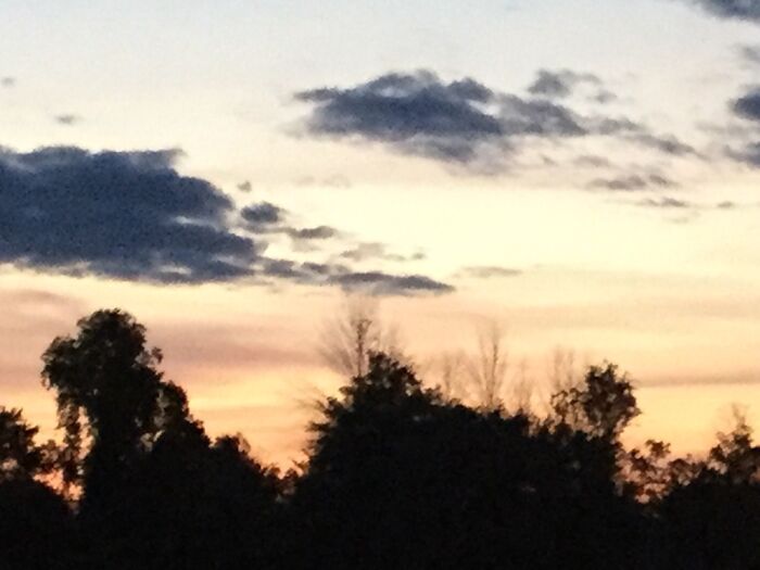 I Take Pictures Of Nature (47 Photos)