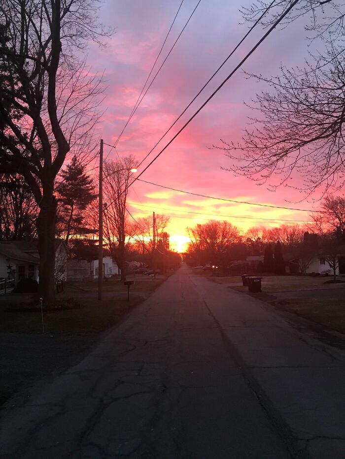 I Take Pictures Of Nature (47 Photos)