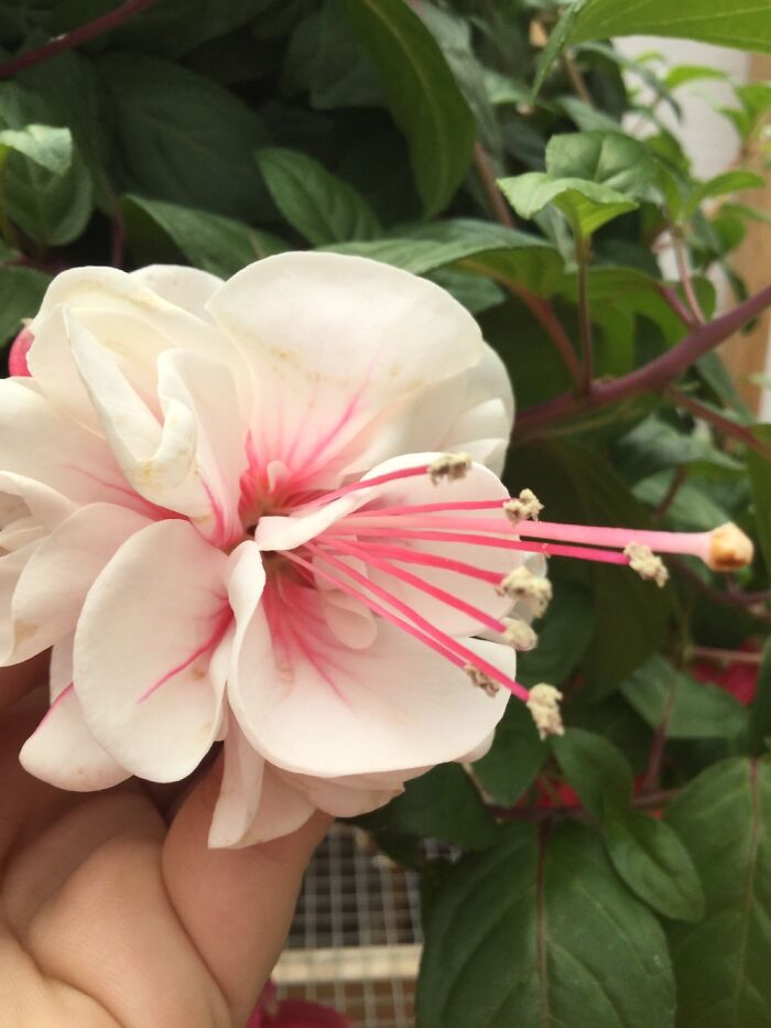 I Take Pictures Of Nature (47 Photos)