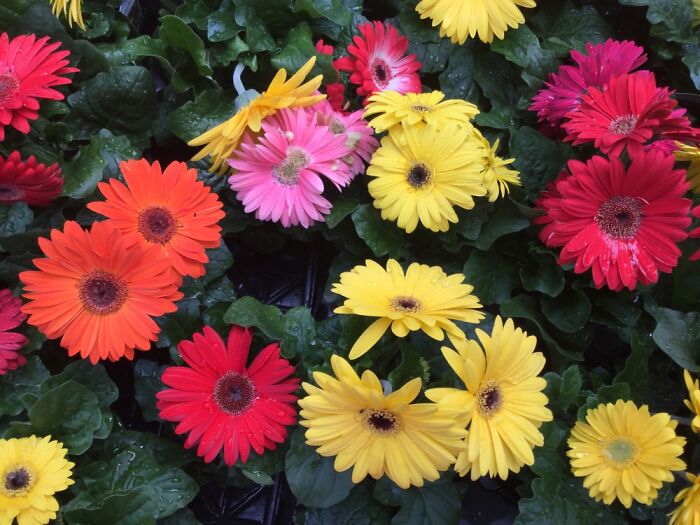 I Take Pictures Of Nature (47 Photos)