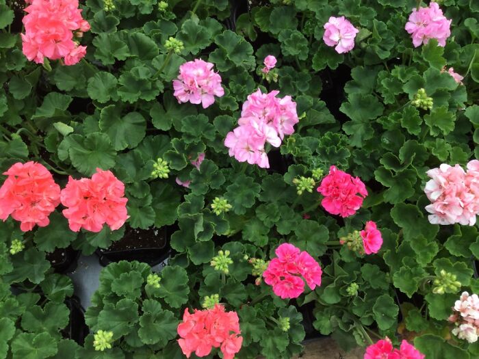 I Take Pictures Of Nature (47 Photos)