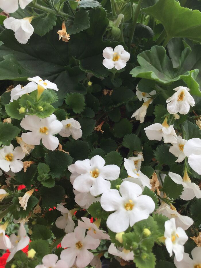 I Take Pictures Of Nature (47 Photos)