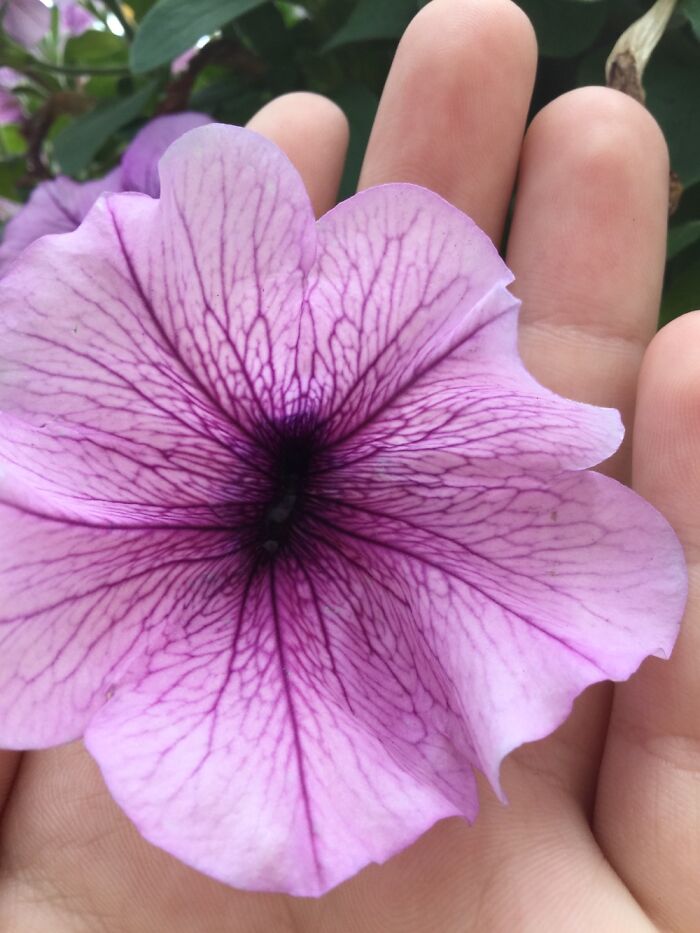 I Take Pictures Of Nature (47 Photos)