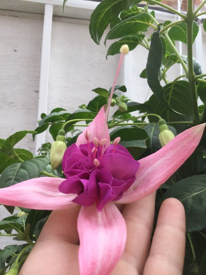 I Take Pictures Of Nature (47 Photos)