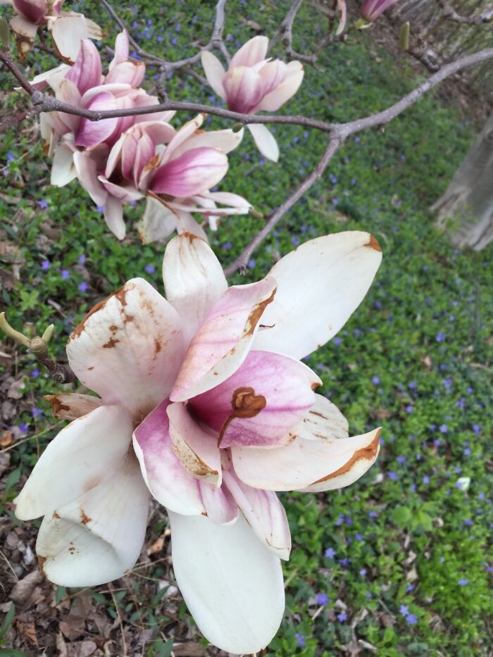 I Take Pictures Of Nature (47 Photos)