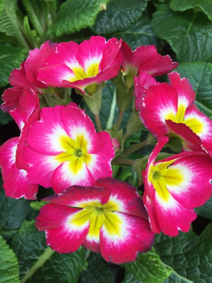 I Take Pictures Of Nature (47 Photos)