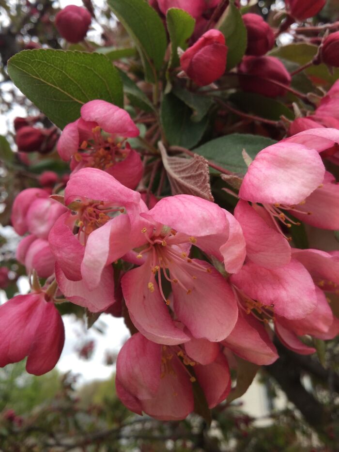 I Take Pictures Of Nature (47 Photos)