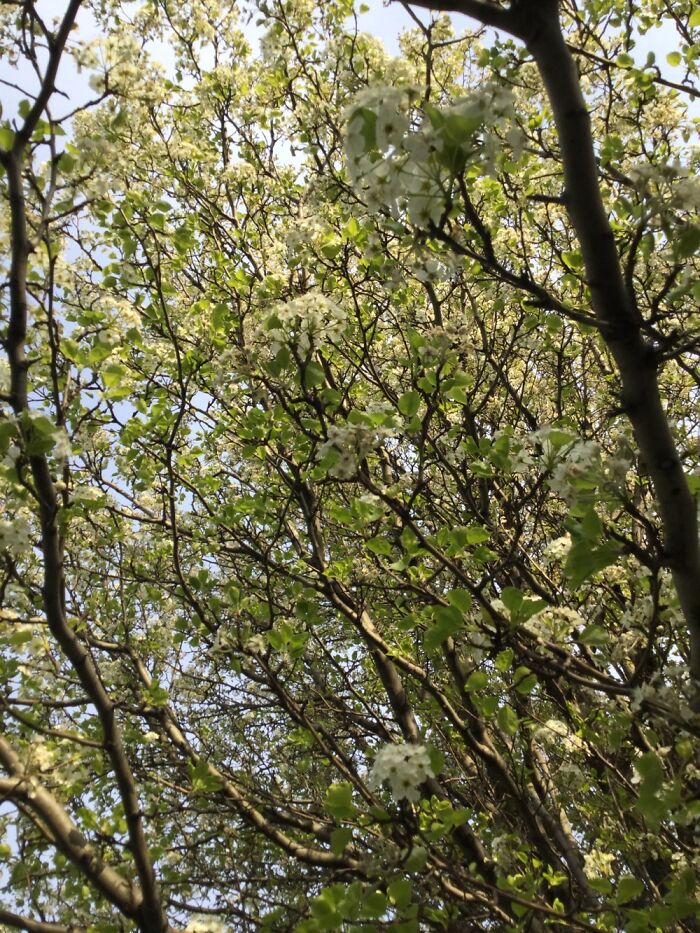 I Take Pictures Of Nature (47 Photos)