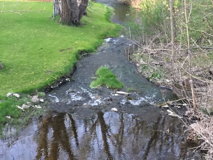 I Take Pictures Of Nature (47 Photos)