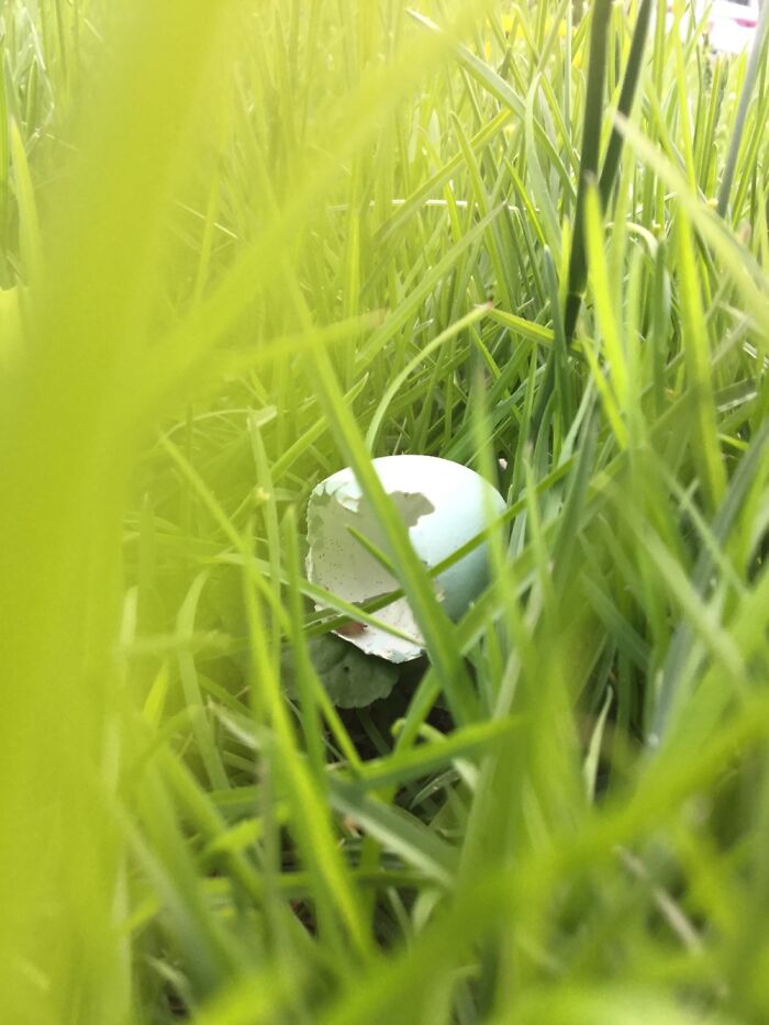 I Take Pictures Of Nature (47 Photos)