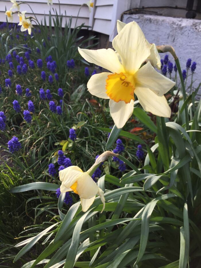 I Take Pictures Of Nature (47 Photos)