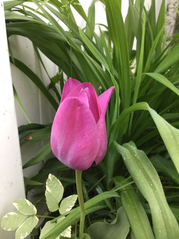 I Take Pictures Of Nature (47 Photos)