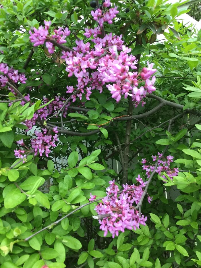 I Take Pictures Of Nature (47 Photos)