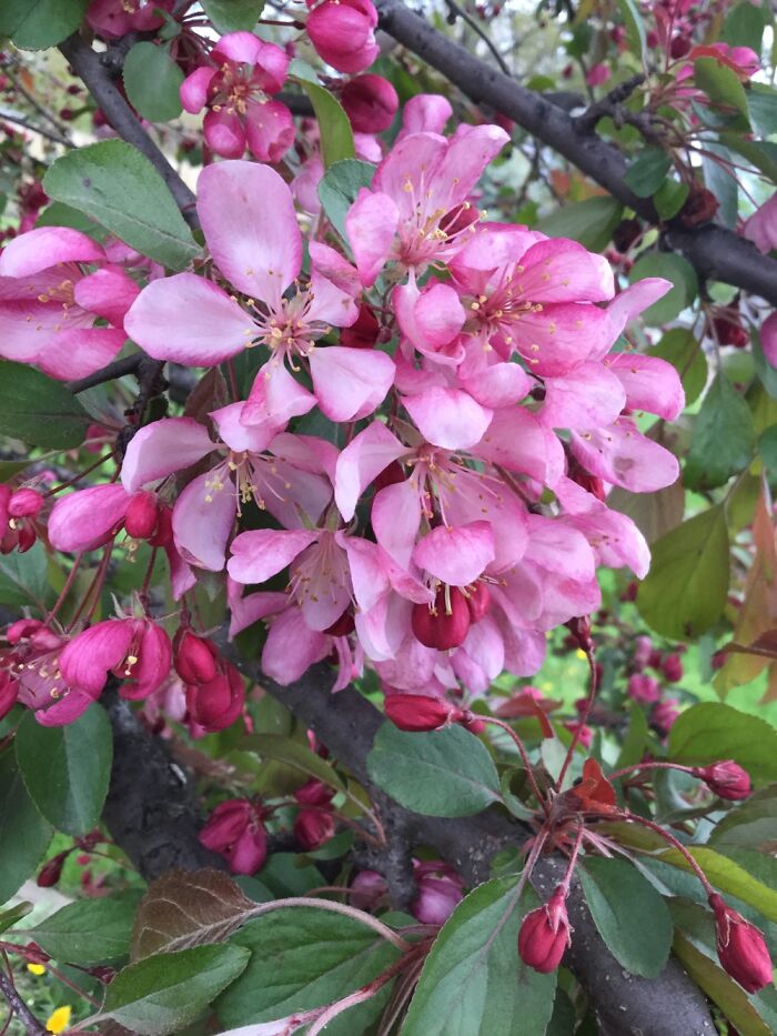 I Take Pictures Of Nature (47 Photos)