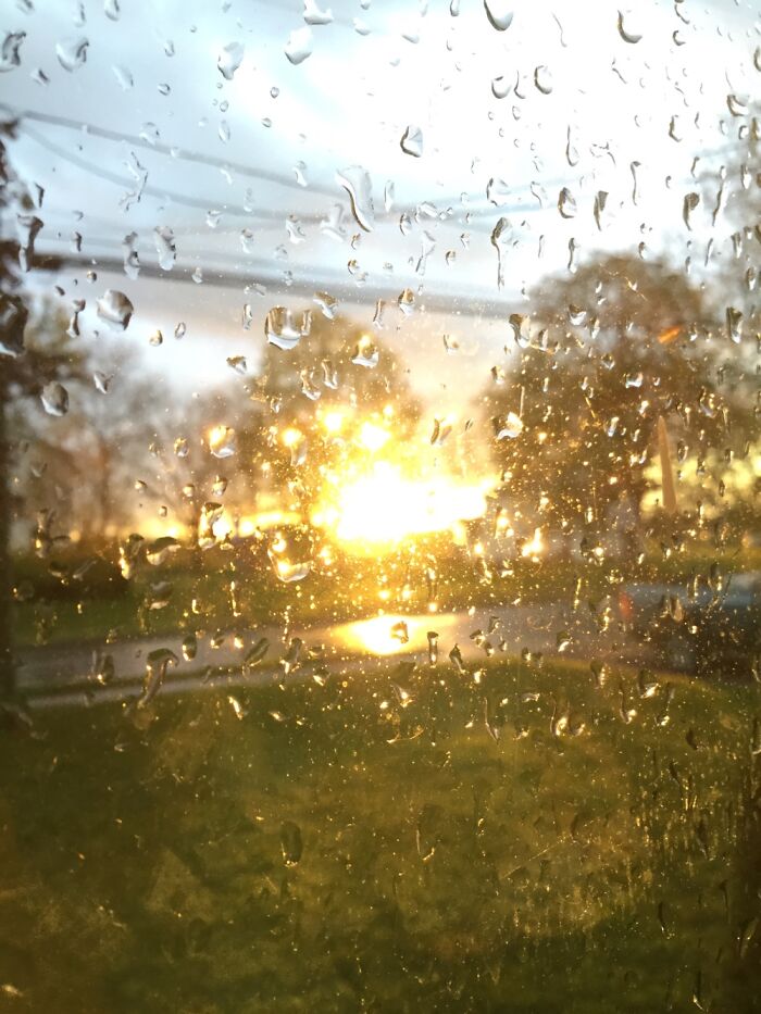 I Take Pictures Of Nature (47 Photos)