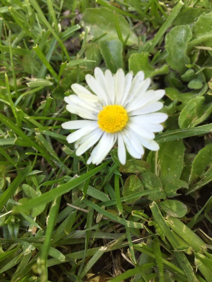 I Take Pictures Of Nature (47 Photos)