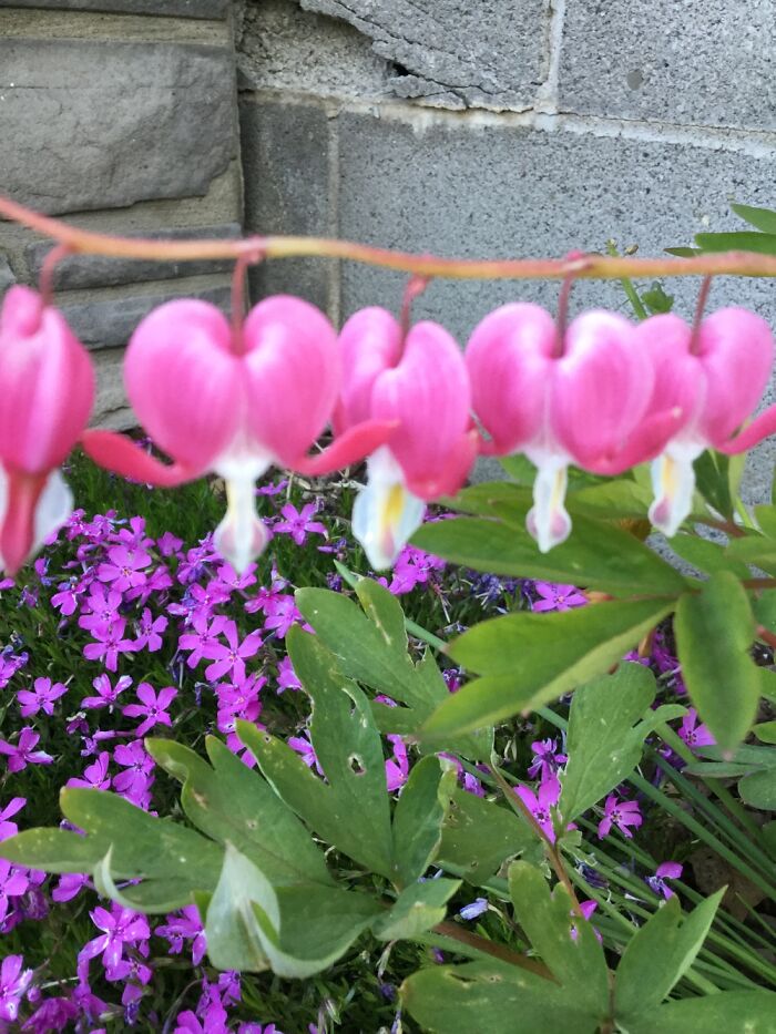 I Take Pictures Of Nature (47 Photos)