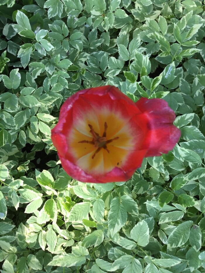 I Take Pictures Of Nature (47 Photos)