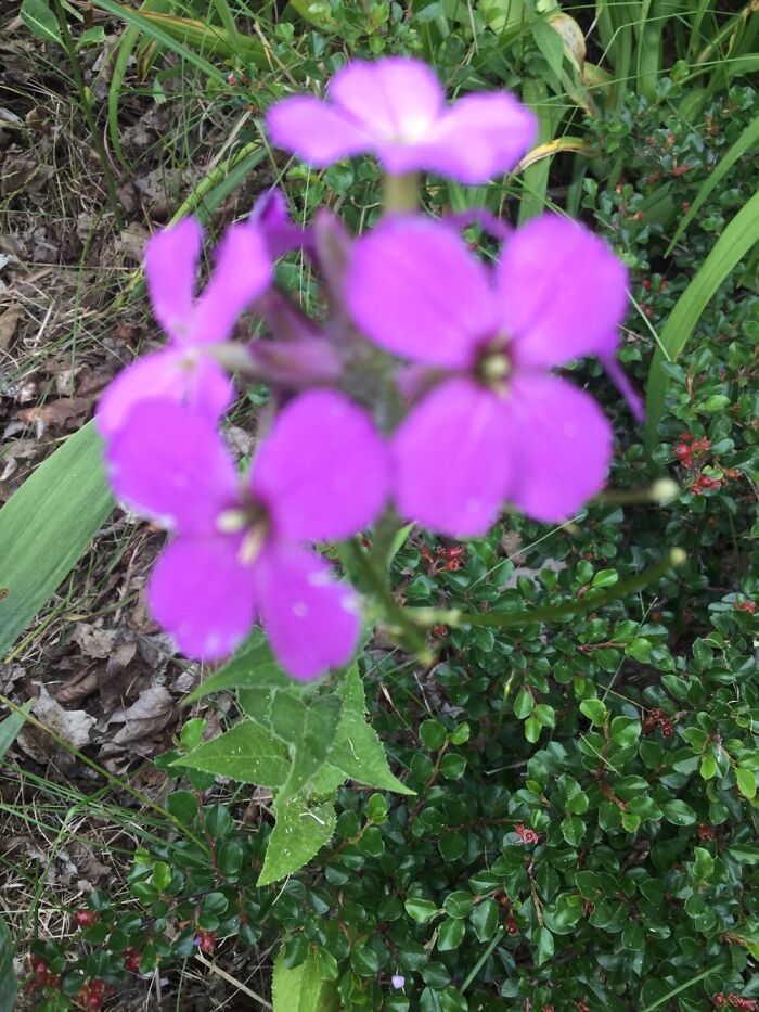 I Take Pictures Of Nature (47 Photos)