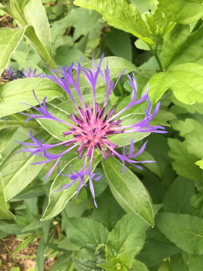 I Take Pictures Of Nature (47 Photos)