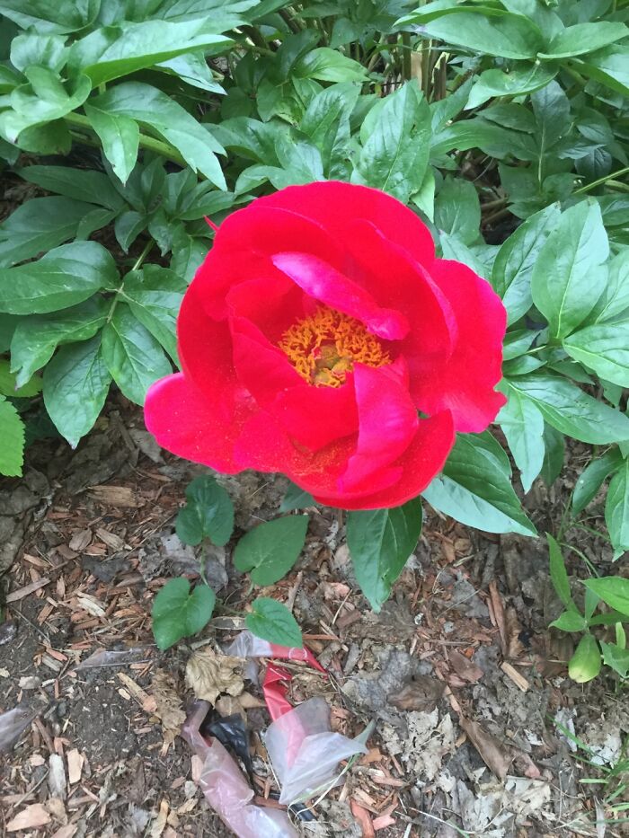 I Take Pictures Of Nature (47 Photos)