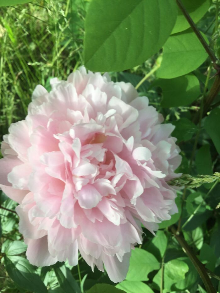 I Take Pictures Of Nature (47 Photos)