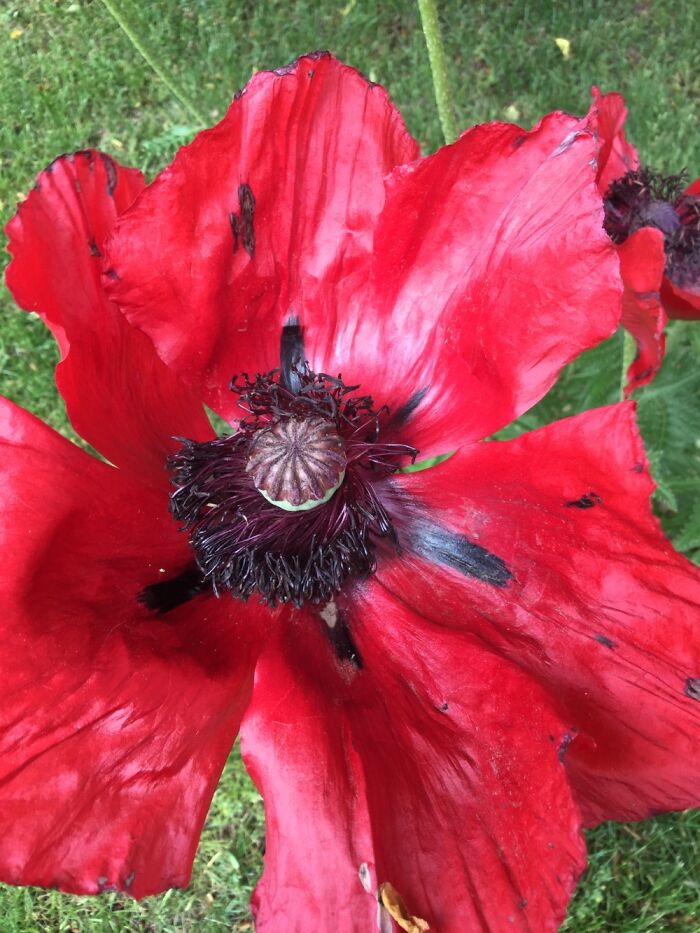 I Take Pictures Of Nature (47 Photos)