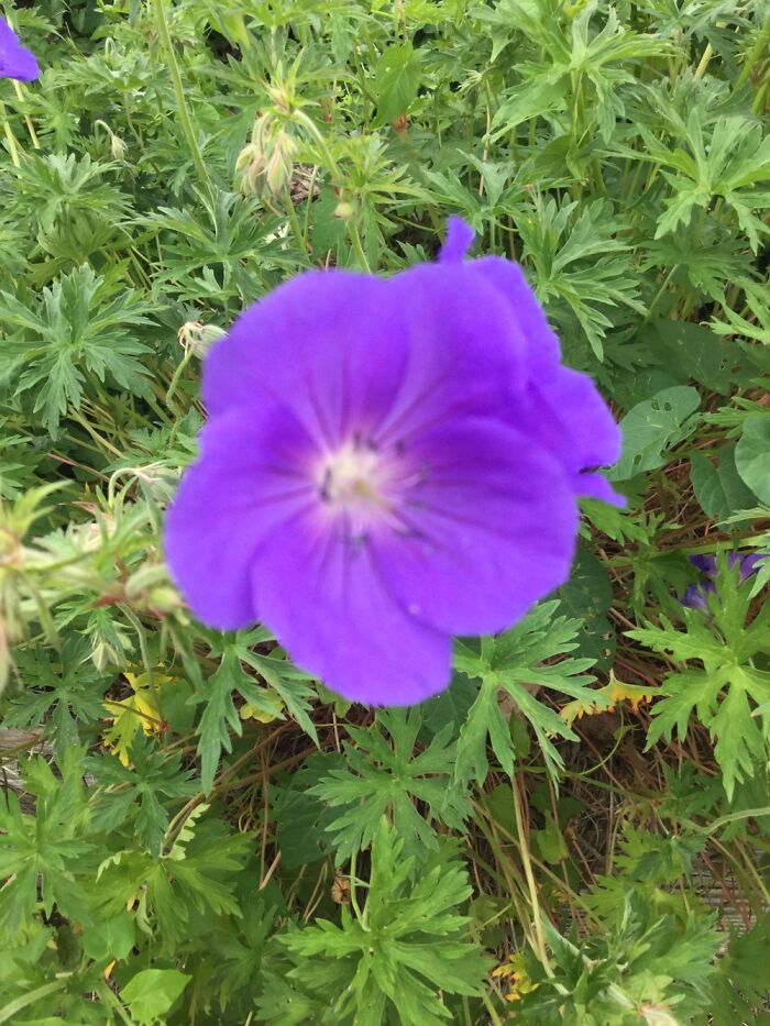 I Take Pictures Of Nature (47 Photos)