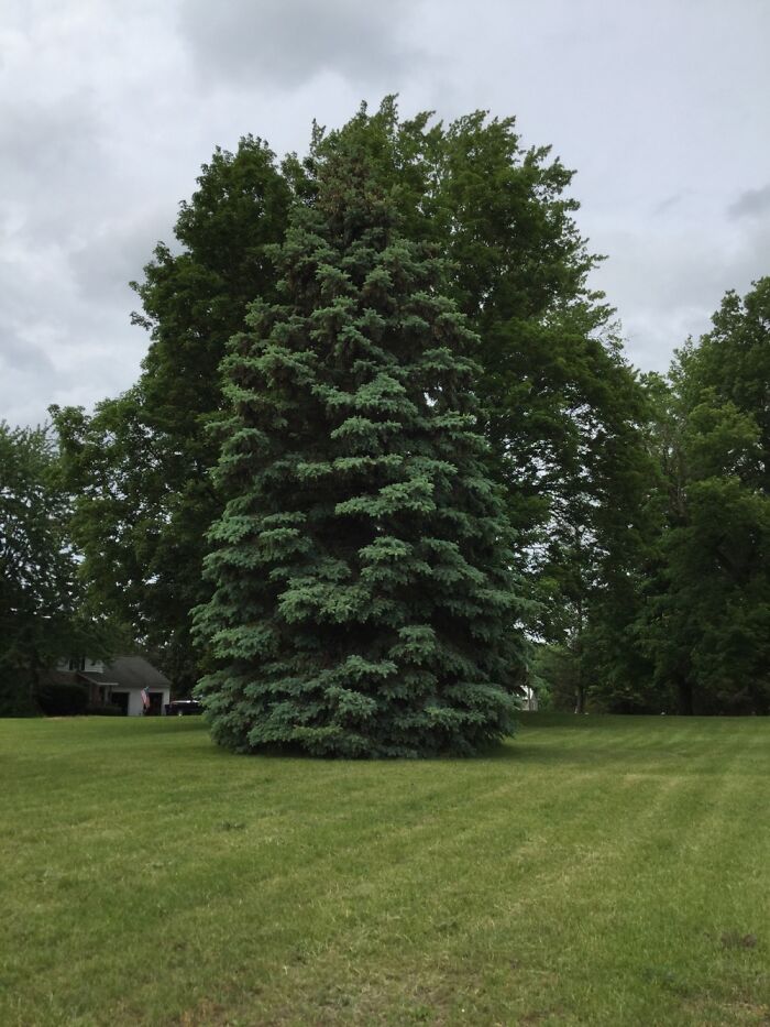 I Take Pictures Of Nature (47 Photos)