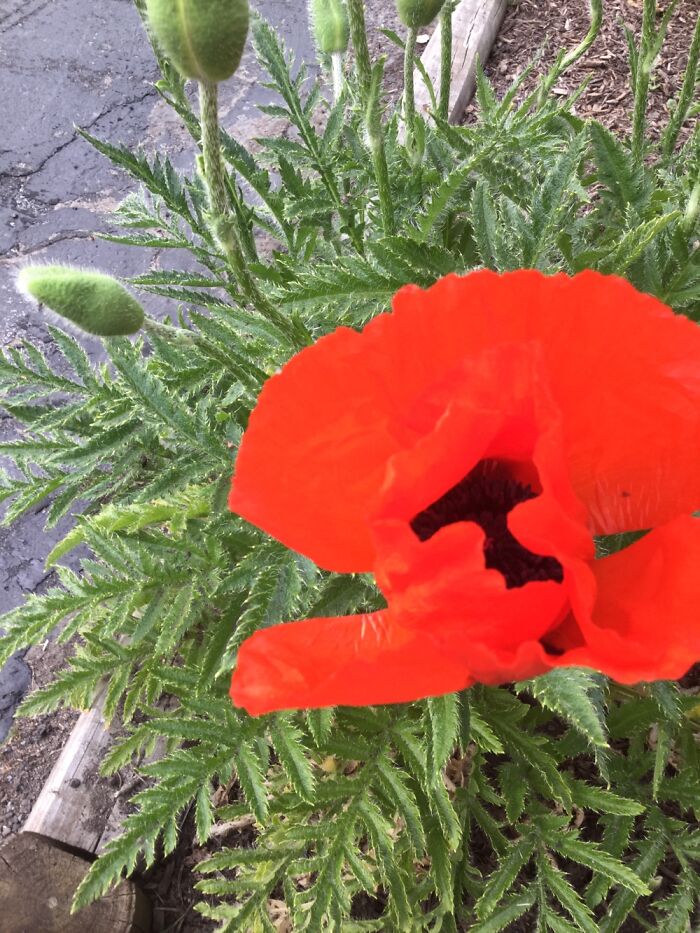 I Take Pictures Of Nature (47 Photos)