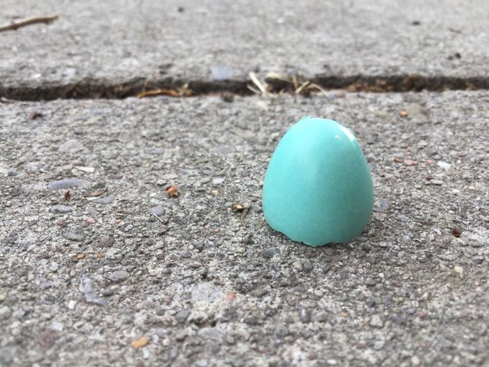 I Take Pictures Of Nature (47 Photos)