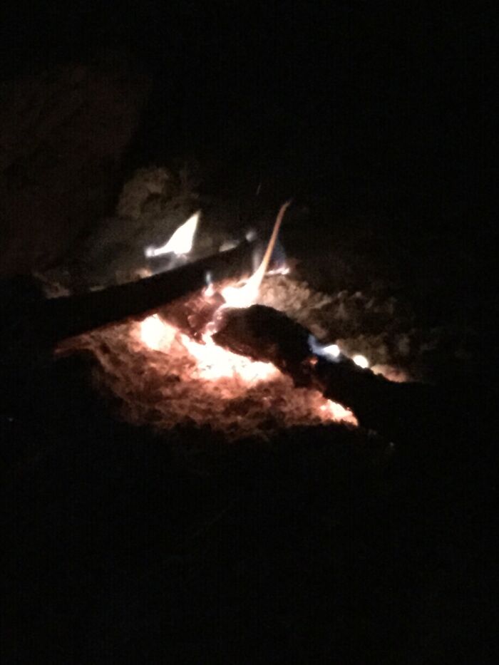 I Take Pictures Of Nature (47 Photos)