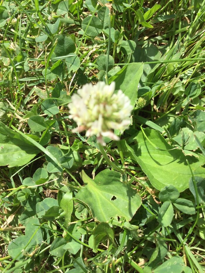 I Take Pictures Of Nature (47 Photos)