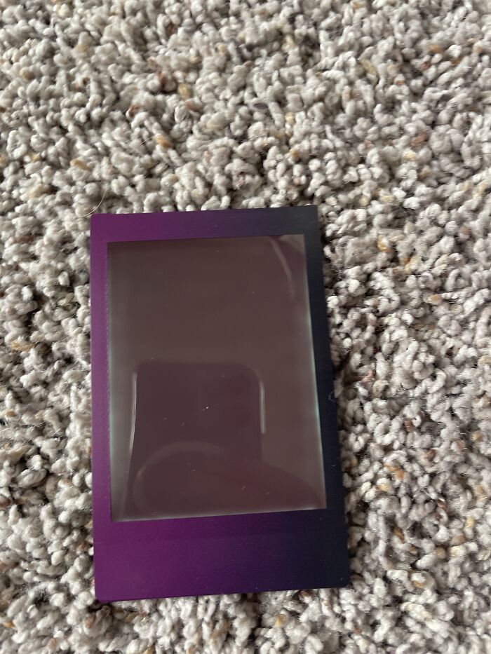 It Was Supposed To Be A Photo Of My Dog But I’m Not Sure What Happened