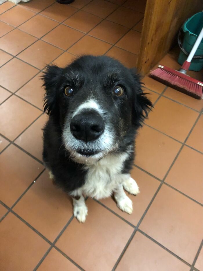 My Beautiful Boy Ripley. Named After My Heroin Lt. Ellen Ripley From The ‘Alien’ Movies.