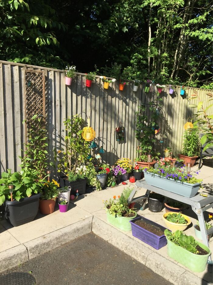 My Little Patio. Split With Hubby And Found This Cute Apartment With Outside Space.
