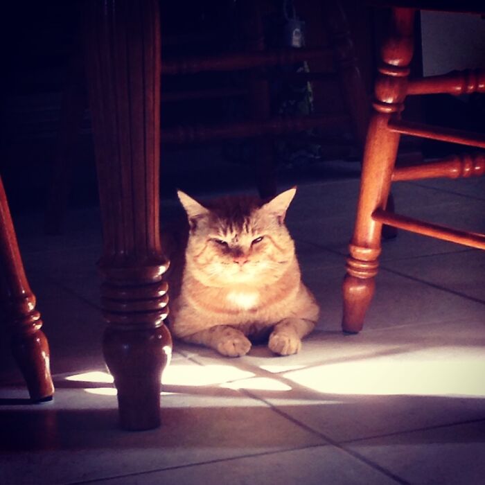 He Is Displeased With The Lack Of Treats