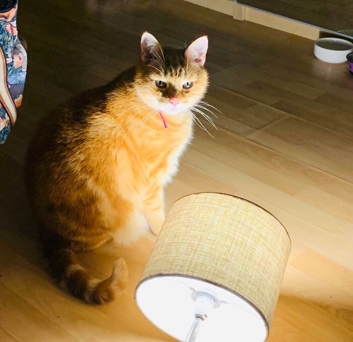 Mother I Crave Violence….