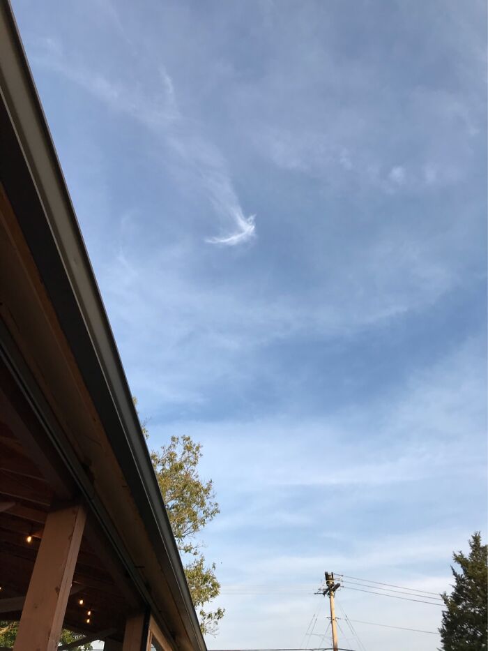 I Thought It Looked Like A Bird Soaring