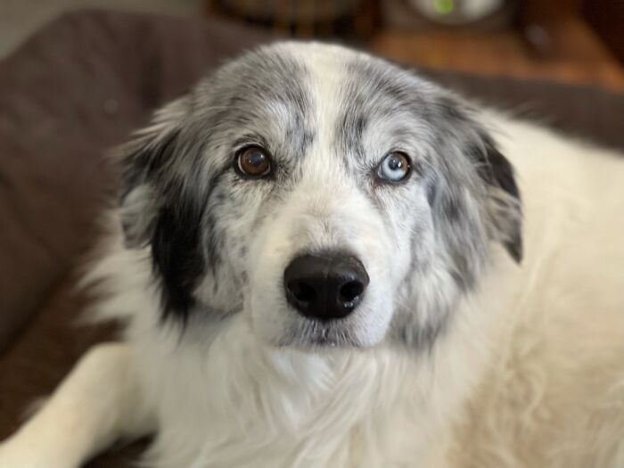 Earl, A Very Good Boi