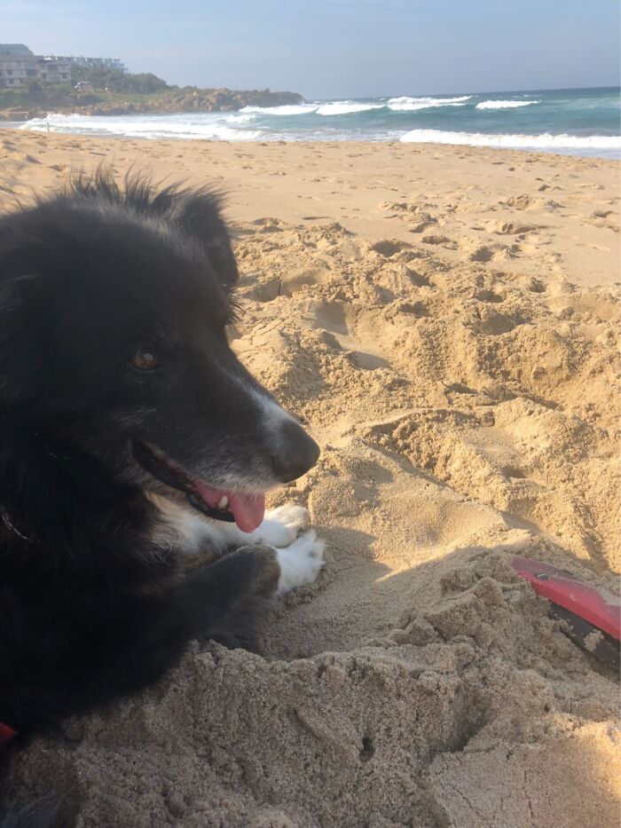My Beautiful Boy Ripley Loving Ramsgate, Kzn, South Africa.