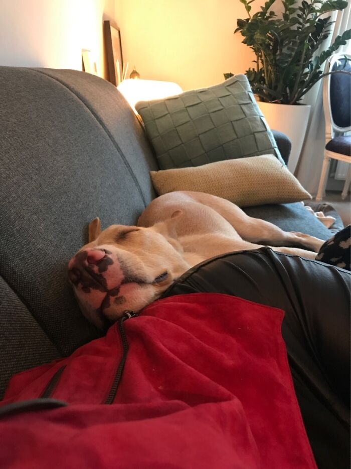 My Charlie. Sleeping Like A Baby