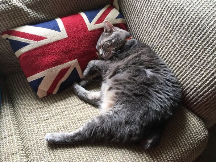 On Her Majesty’s Secret Service