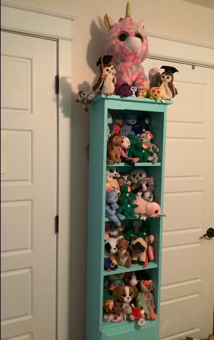 Beanie Babies! There’s About 70 Of Them Now :)