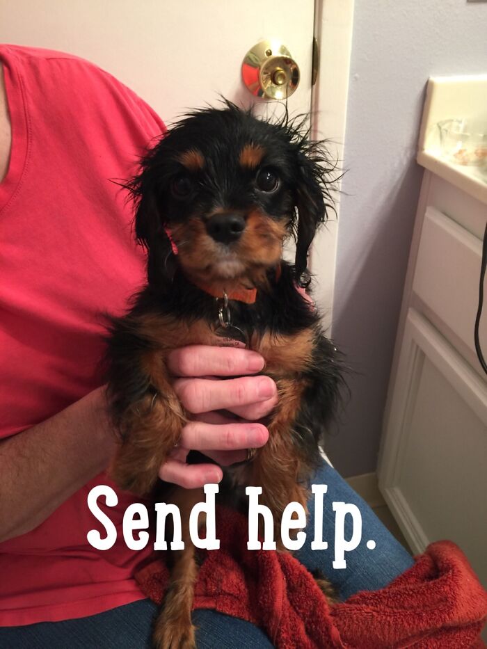 Pretty Much Sums It Up!!